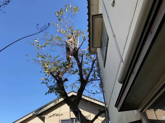 サービスのご案内 - 新潟県で遺品整理・ゴミ屋敷片付け・不用品回収